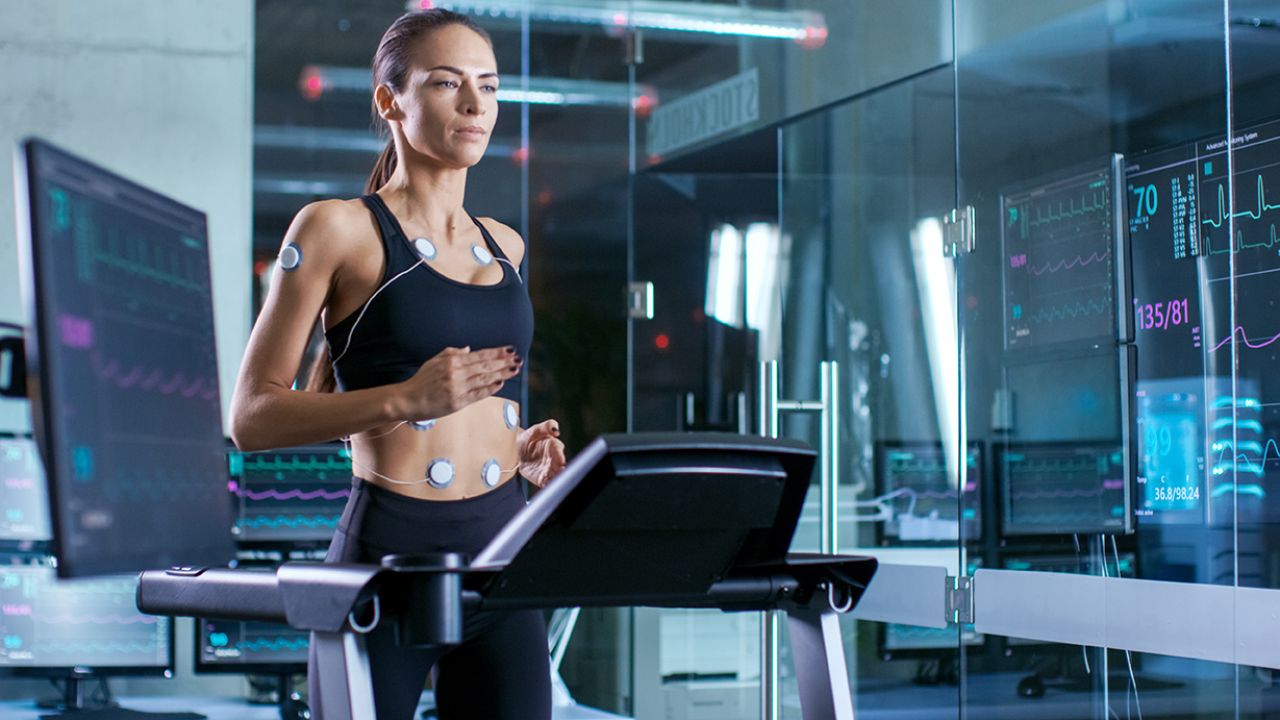 Seminário &quot;Neuromuscular Sciences Research for Health and Human Performance&quot;