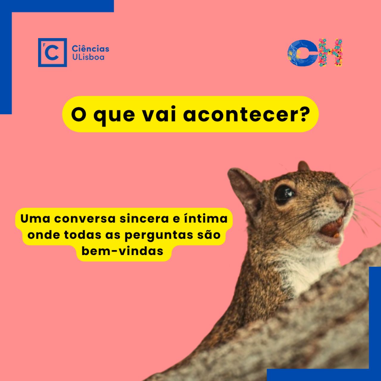 À conversa com João Francisco Lima